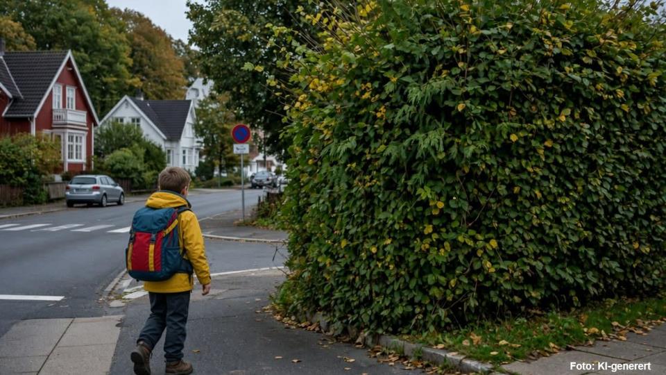 Lenkje til artikkel: Hald skulevegen trygg