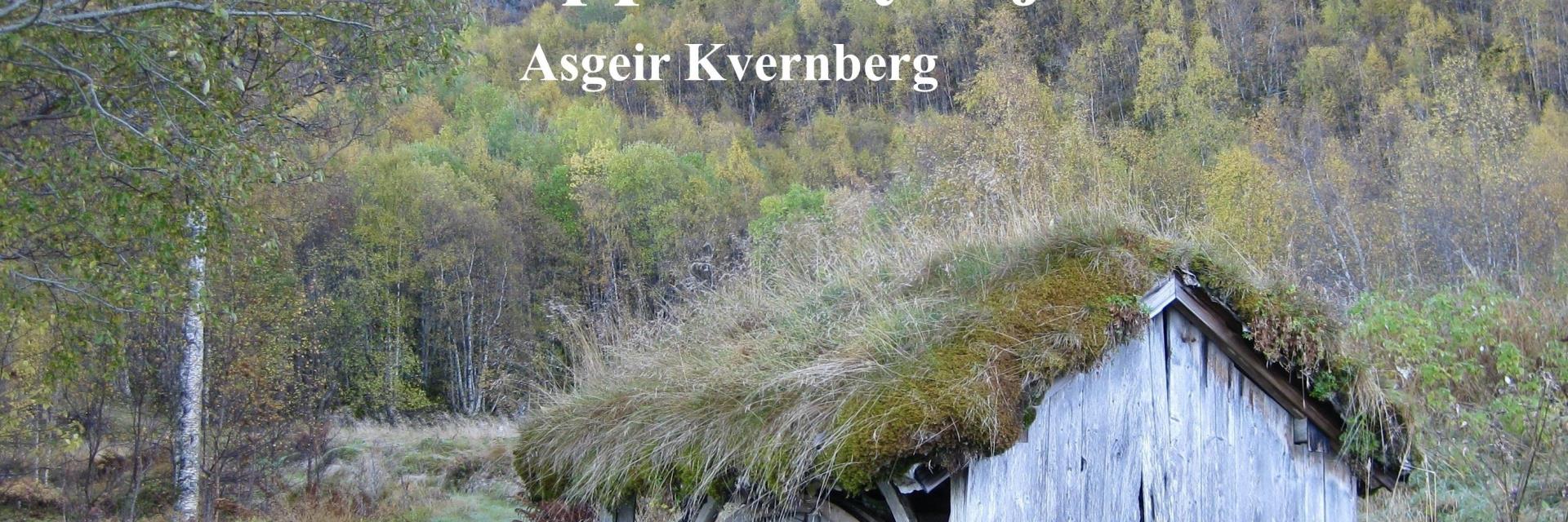 Bokomslag Furstranda av Asgeir Kvernberg
