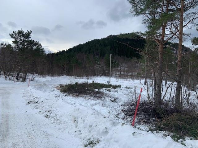 Klikk for stort bilete